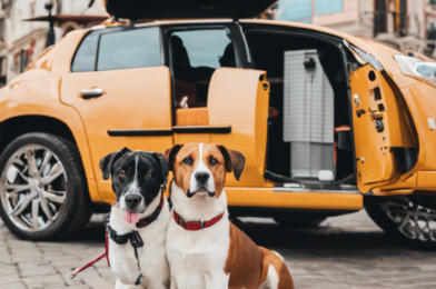 Traveling with Pets: Everything You Need to Know